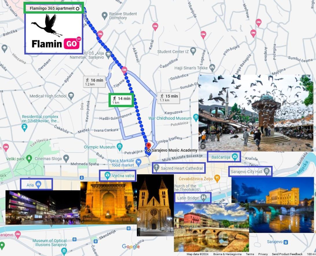 Flamingo 365 - Near City Center With Free Parking SJJ Exterior foto